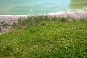 Niebezpieczne dla zdrowia sinice pojawiły się w jeziorze Salęt