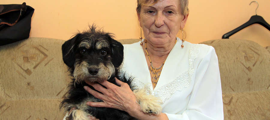 Pani Wiesława Tinę przygarnęła ze Schroniska dla Bezdomnych Zwierząt w Elblągu, gdy zmarła właścicielka pieska 