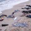 Morze wyrzuciło ciało chłopczyka na plażę w Turcji. Zdjęcie poruszyło świat
