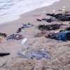 Morze wyrzuciło ciało chłopczyka na plażę. Zdjęcie poruszyło świat