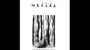 Prezentacja książki "Wróżda" Marcina Tomczaka