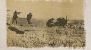 Wystawa fotografii dokumentalnej "Pamiętamy 1939-1945" i odsłonięcie drugiego muralu