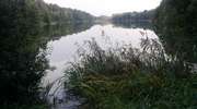 Thousand Lakes — Zobacz piękno Olsztyna uchwycone w niezwykłej produkcji!