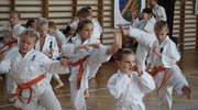 Dziś rozpoczynają się treningi w Iławskim Klubie Kyokushin Karate. Zapraszamy na zajęcia