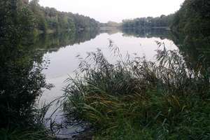 Thousand Lakes — Zobacz piękno Olsztyna uchwycone w niezwykłej produkcji!