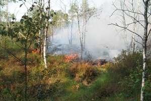 Znów płonie Torfowisko Karaska. Straż walczy z żywiołem z ziemi i powietrza (AKTUALIZACJA)