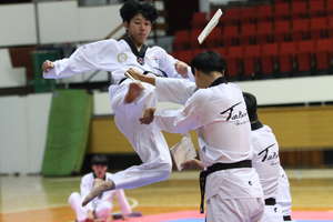 Mistrzowie taekwondo w hali Urania