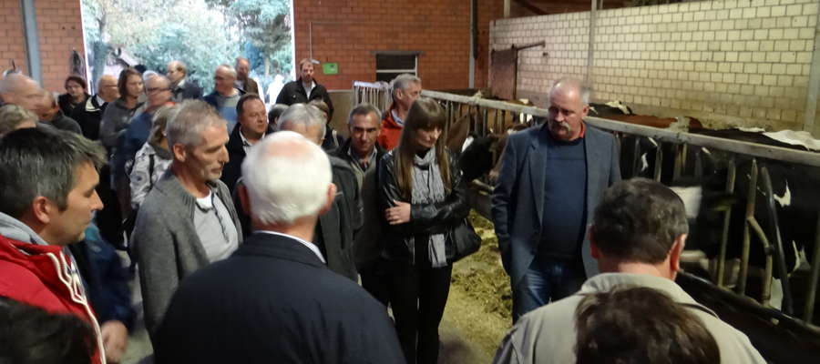 Zwiedzanie nowoczesnej obory na 300 krów 