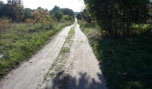 Droga biegnąca przy jeziorze Ukiel. Na mapach to ulica Kajakowa w Olsztynie