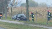 Wypadek na "siódemce" w Kazimierzowie. Zjechał z drogi, uderzył w drzewo