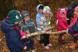 Wycieczka do lasu. Przedszkolaki  ze „Stokrotki” szukały śladów jesieni
