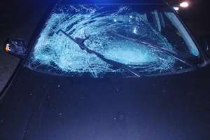 Potrącenie pieszego w Wydmusach
