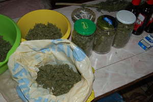 Trzy kilogramy marihuany trzymał w mieszkaniu