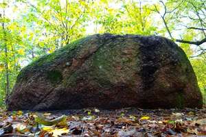 Kurzętnik: Zapomniany park podworski z pomnikowym głazem 