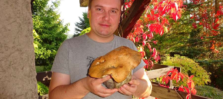 Znaleziony w mazurskich lasach prawdziwek ważył 1,82 kg