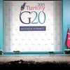 Szczyt G20 opanowały... koty!