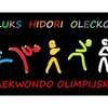 Mistrzostwa województwa w taekwondo olimpijskim 
