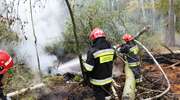 Strażacy gasili torfowisko w Stępniu i Lipowinie