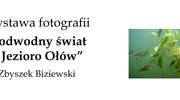 W głębinach jeziora Ołów
