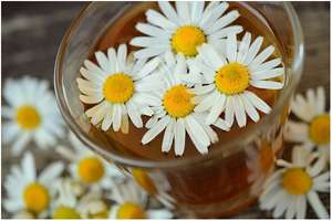Naturoterapia - PORADY EKSPERTA
