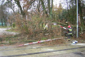 Wiatr przewrócił drzewo na przejazd kolejowy. Strażacy apelują o zachowanie ostrożności 