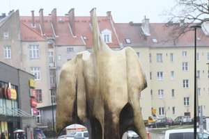 Dziesięć rzeźb w całej Polsce, w tym jedna w Olsztynie