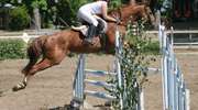 Ten piękny sport ma pół wieku