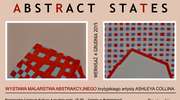 Wystawa Ashleya Collina Abstract - States