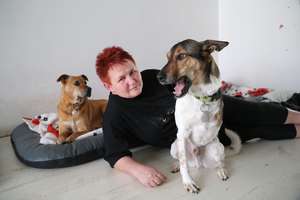 Olsztynianka ratuje psy z opresji i znajduje im kochające domy