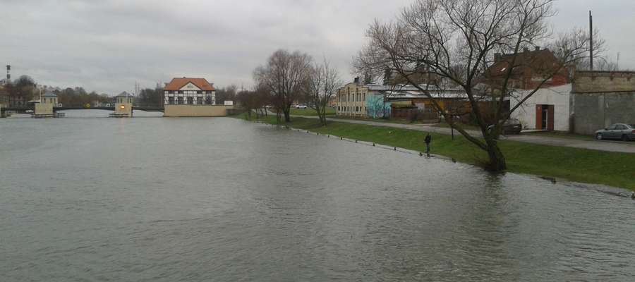 Przybywa wody w rzece Elbląg - tak wyglądała rzeka około godz. 13.30
