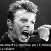 David Bowie nie żyje