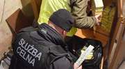Policjant i celnicy znaleźli 1204 paczki nielegalnych papierosów