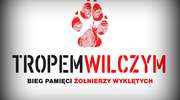 Tropem Wilczym – Bieg Pamięci Żołnierzy Wyklętych po raz drugi