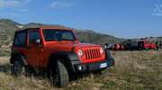 Wrangler, Jeep do zadań specjalnych i król sycylijskiej dżungli