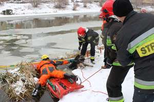 Lód na rzece załamał się pod psem. Uratowali go strażacy [ZDJĘCIA]