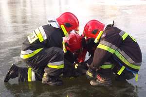 Strażacy pomagali uwolnić łabędzie