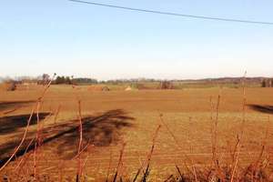 Olsztyński szlak rowerowy (11): Michelin (Olsztyn) - Klebark - Skajboty - Jedzbark - Barczewo - Olsztyn