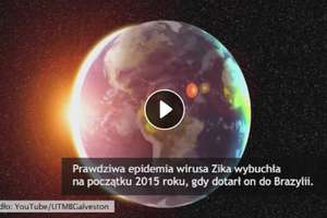 Amerykański naukowiec o epidemii Zika: Wirus powoduje dwie groźne choroby