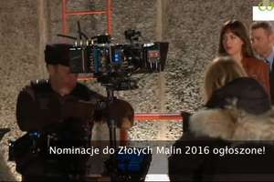 Nominacje do Złotych Malin 2016 ogłoszone