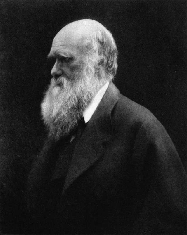 Karol Darwin na zdjęciu z roku 1868, a więc w wieku 59 lat. Zdjęcie wykonała Julia Margaret Cameron (1815-1879), jedna z pionierek fotografii

 - full image