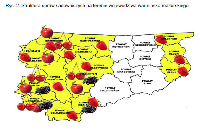 Struktura upraw sadowniczych na terenie województwa warmińsko-mazurskiego.