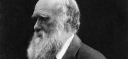 Karol Darwin na zdjęciu z roku 1868, a więc w wieku 59 lat. Zdjęcie wykonała Julia Margaret Cameron (1815-1879), jedna z pionierek fotografii

