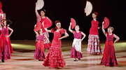Flamenco w Garncarskiej Wiosce