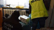 Ponad 2 tys. paczek papierosów zabezpieczyli policjanci i celnicy