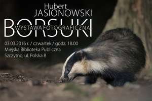 Wernisaż  fotografii Huberta Jasionowskiego pt. „Borsuki”