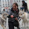 Zawyli dla wilka na starówce w Olsztynie [FILM I ZDJĘCIA]