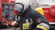 Polscy strażacy wspomogą Szwedów w gaszeniu lasów