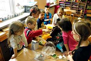 Przedszkolaki ze Słonecznej Ósemki założyły w sali mini-ogródek