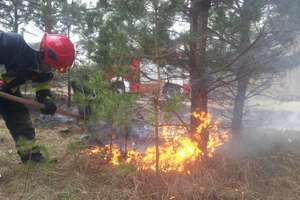 72-latka nie dopilnowała ogniska. Podpaliło się ogrodzenie, drzewa i szopka sąsiada