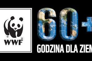Wyłączą oświetlenie olsztynskich zabytków żeby pomóc wilkom